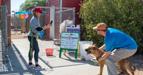Rescue Runners walk the Mutt-Mile for pet adoption
